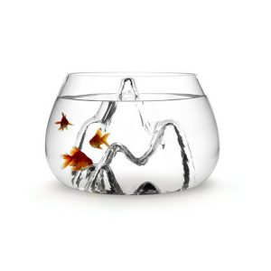 Fish bowl