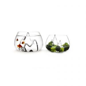 goldfish-size